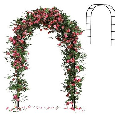 Plant Support